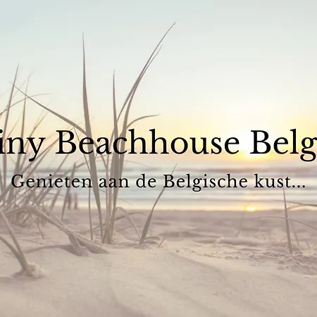 Tiny Beachhouse Belgium, Campsite